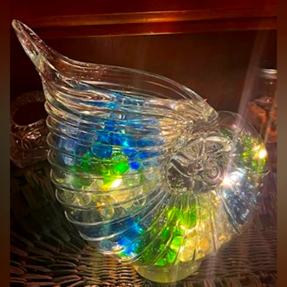 Glass Seashell decor with gems and lights